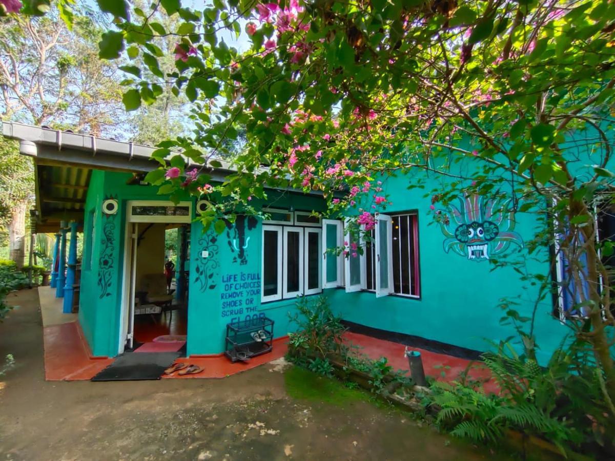 אלה The 1964 Holiday Bungalow מראה חיצוני תמונה