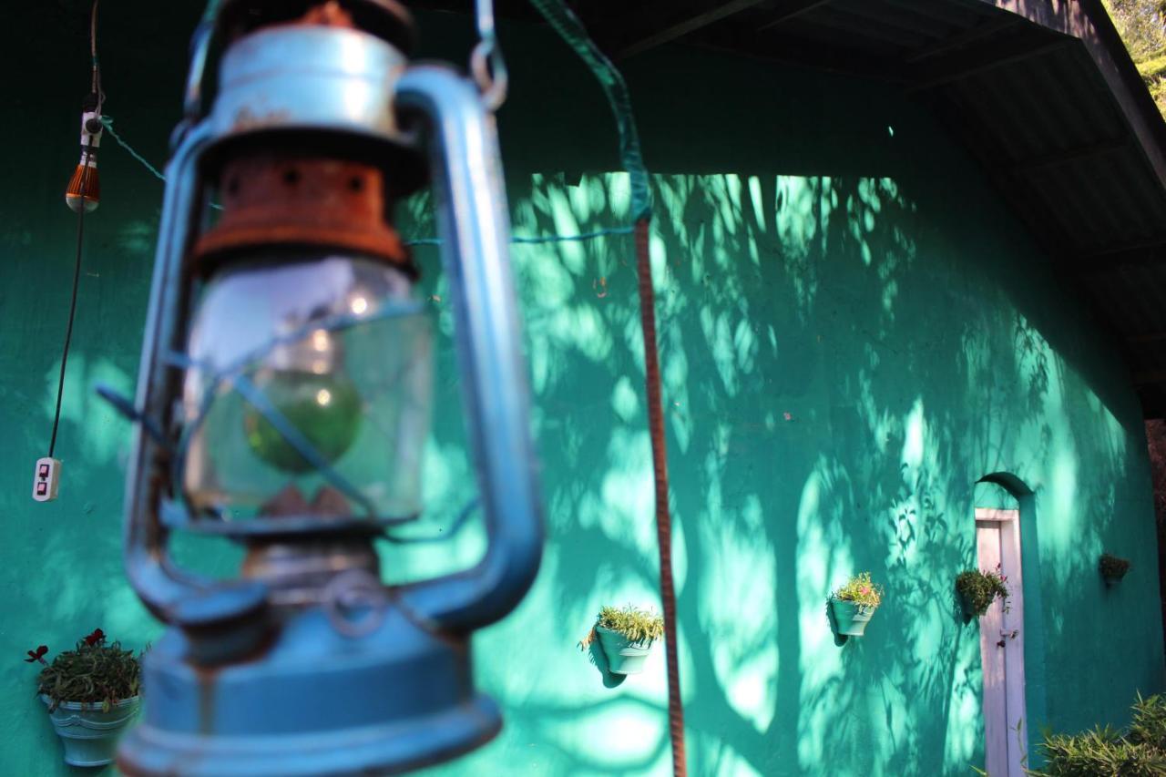 אלה The 1964 Holiday Bungalow מראה חיצוני תמונה